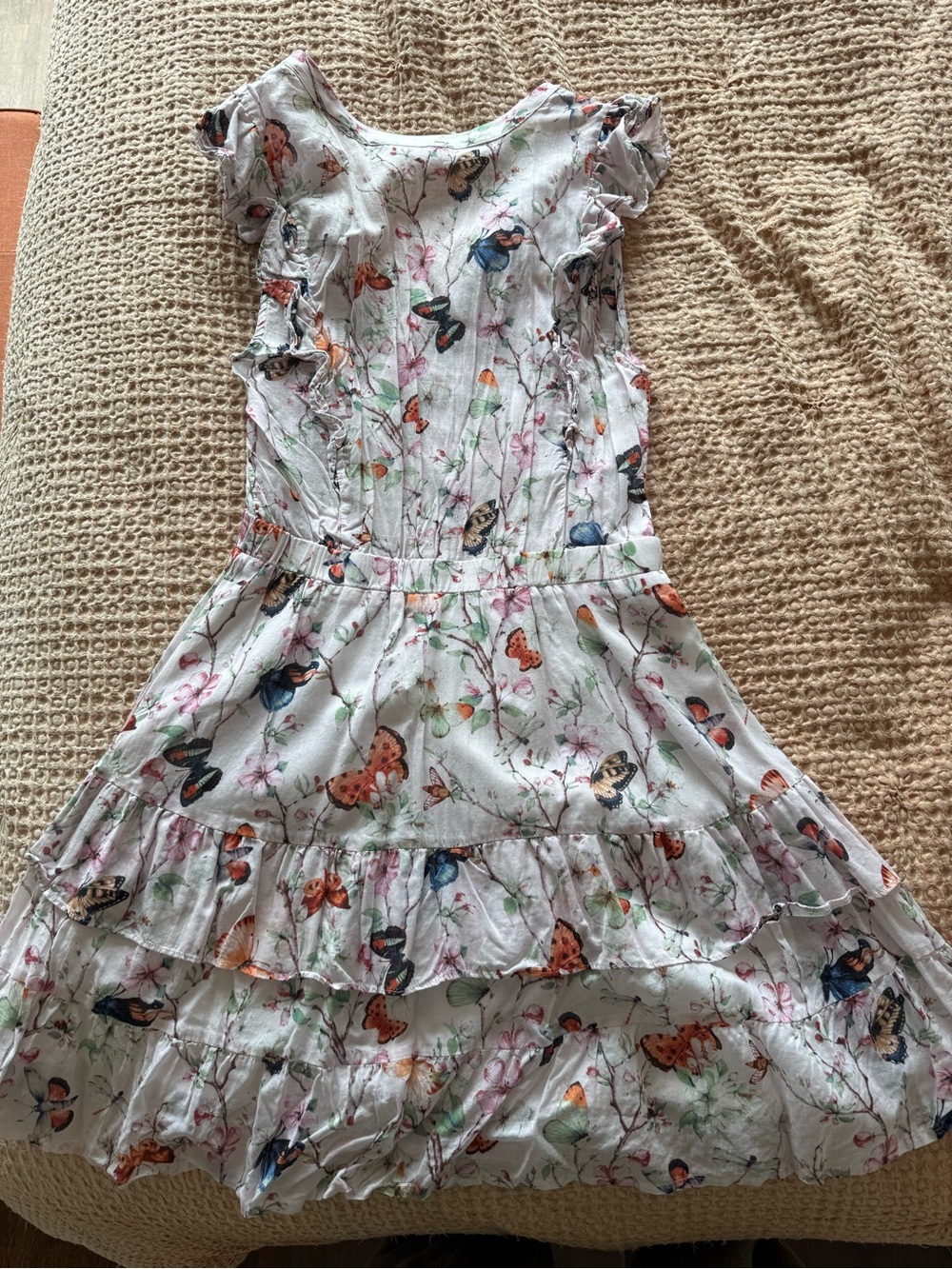 Steve Madden White Mini Dress with Multicolor Butterfly Print